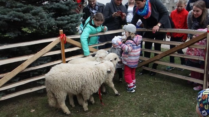 Święcenie pokarmów wspólnie z owieczkami 