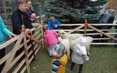 Święcenie pokarmów wspólnie z owieczkami 