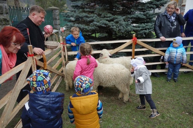 Święcenie pokarmów wspólnie z owieczkami 