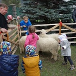 Święcenie pokarmów wspólnie z owieczkami 