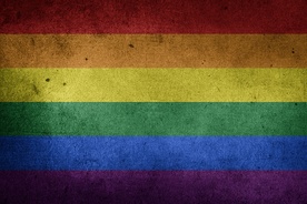 Co Polacy myślą o „homomałżeństwach” i przyznaniu im prawa do adopcji?