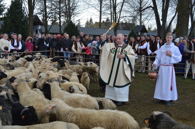 Święto Bacowskie w Ludźmierzu 2017