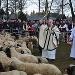 Święto Bacowskie w Ludźmierzu 2017