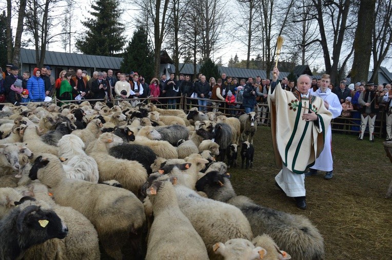 Święto Bacowskie w Ludźmierzu 2017