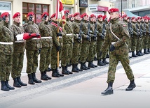 ▲	Żandarmeria Wojskowa dba o dyscyplinę w armii i pilnuje porządku publicznego.