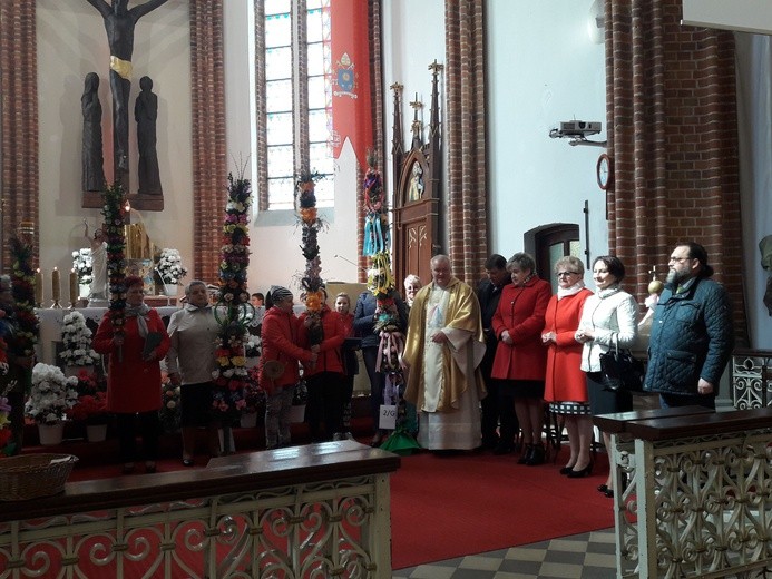 Najpiękniejsze palmy w Janowcu Kościelnym