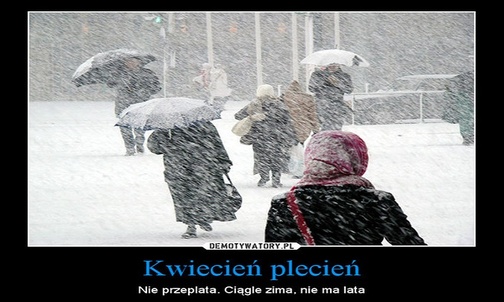 W długi weekend 30 st. - Każdego dnia po 10 - memy pogodowe