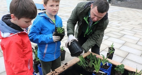 Sadzili kwiaty Wyspiańskiego
