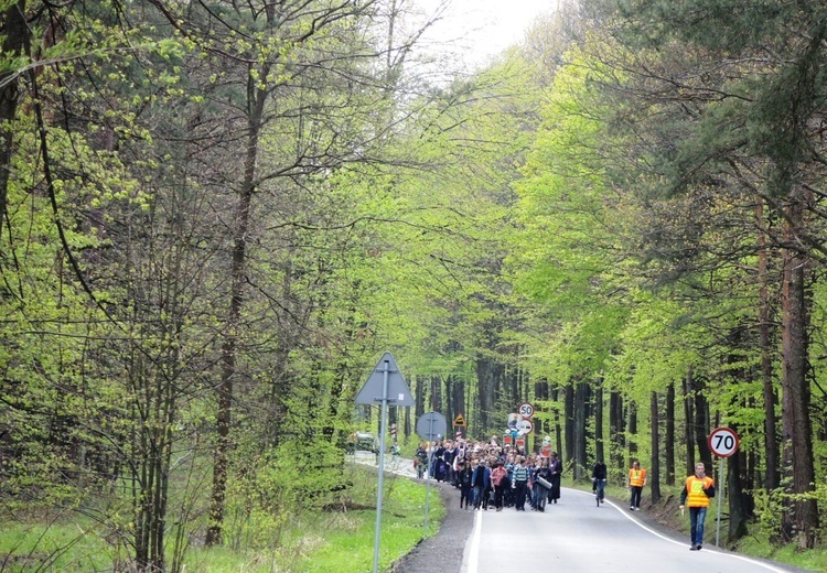 Grupa św. Maksymiliana 2017