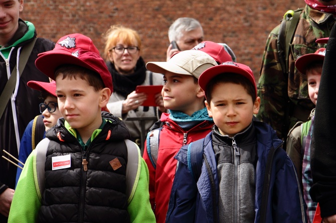 Pochód patriotyczny 3 maja 2017