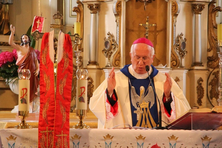 Powitanie ikony MB Częstochowskiej w Dąbrowicach