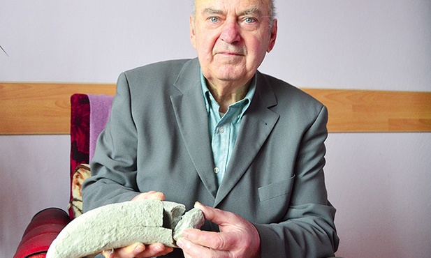 Jurajski kieł rekina.
