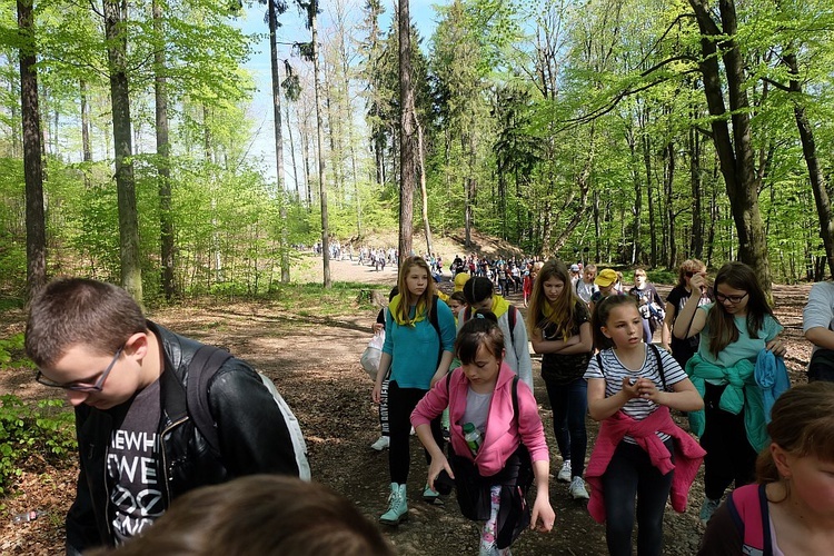 Pielgrzymka na Chełmiec - Msza św.