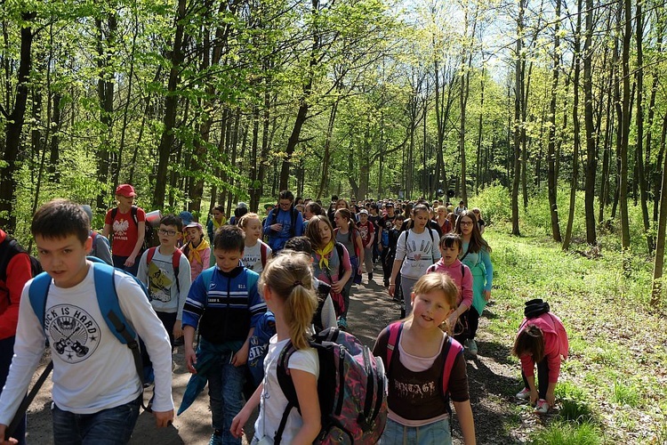 Pielgrzymka na Chełmiec - Msza św.