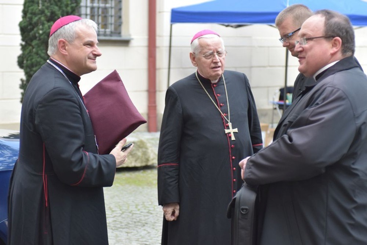 Tuż przed koronacją Świdnickiej Pani w słońcu