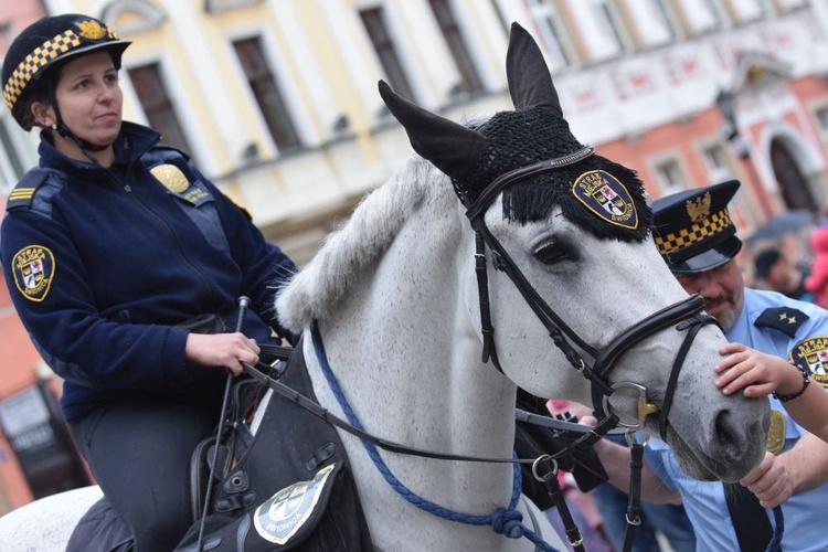 Święto Rodziny w Świdnicy