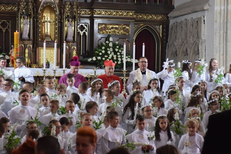 I komunii św. w Strzegomiu udzielił kardynał