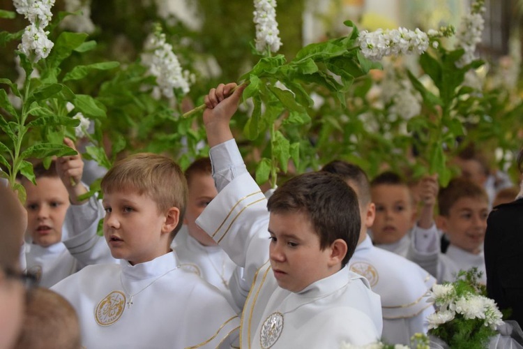 I komunii św. w Strzegomiu udzielił kardynał