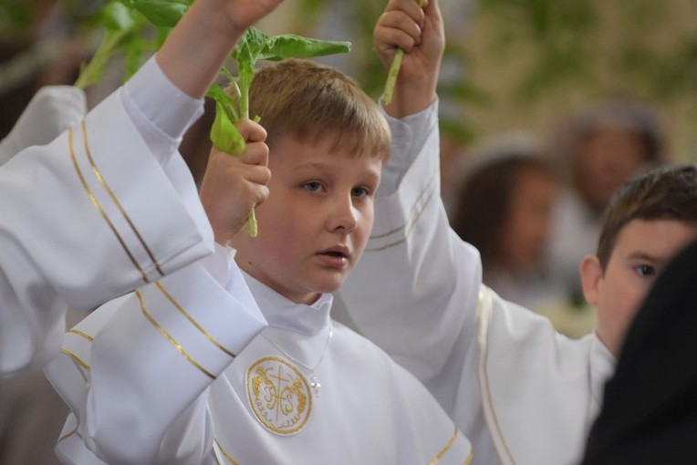 I komunii św. w Strzegomiu udzielił kardynał