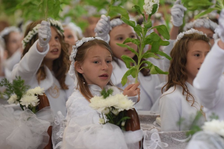 I komunii św. w Strzegomiu udzielił kardynał