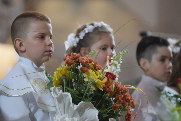 I komunii św. w Strzegomiu udzielił kardynał