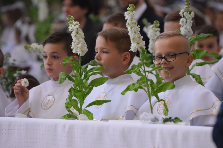 I komunii św. w Strzegomiu udzielił kardynał