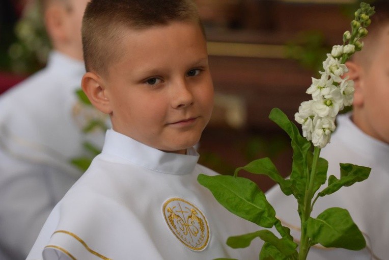 I komunii św. w Strzegomiu udzielił kardynał