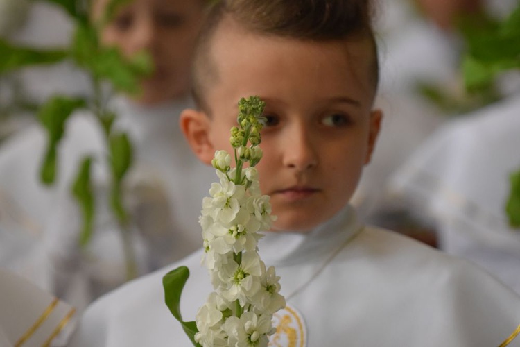 I komunii św. w Strzegomiu udzielił kardynał