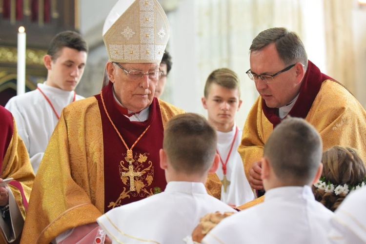 I komunii św. w Strzegomiu udzielił kardynał