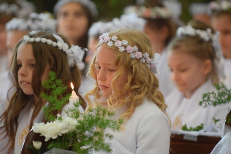 I komunii św. w Strzegomiu udzielił kardynał