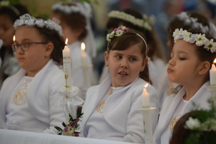 I komunii św. w Strzegomiu udzielił kardynał