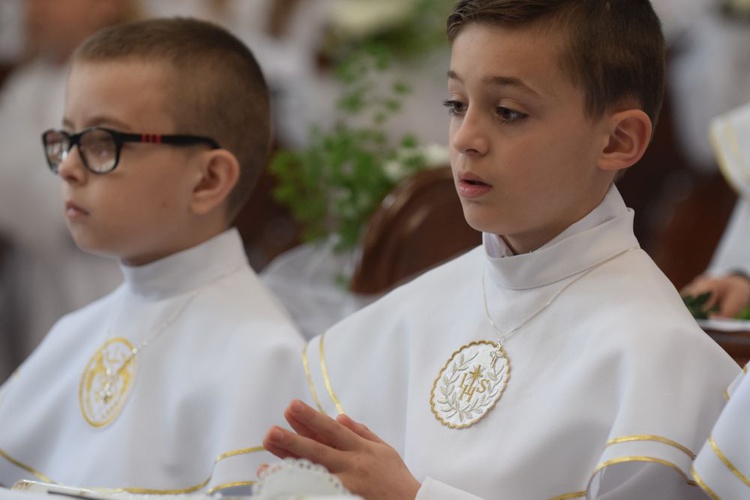 I komunii św. w Strzegomiu udzielił kardynał