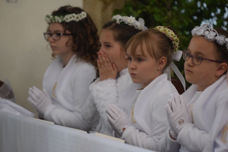 I komunii św. w Strzegomiu udzielił kardynał