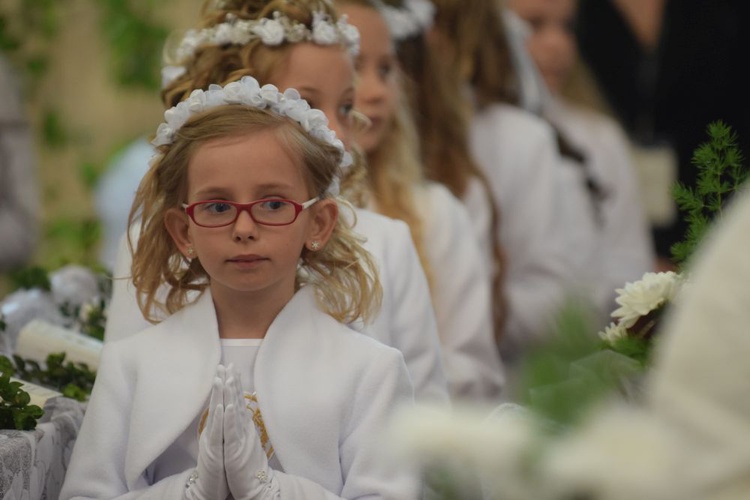 I komunii św. w Strzegomiu udzielił kardynał