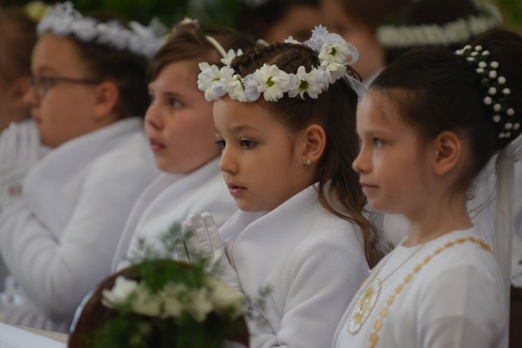 I komunii św. w Strzegomiu udzielił kardynał