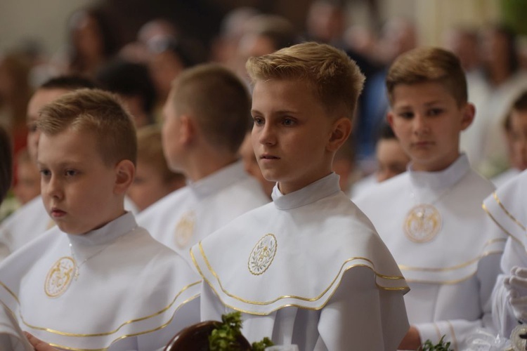 I komunii św. w Strzegomiu udzielił kardynał