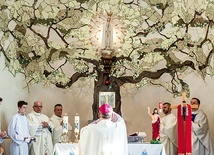 ▼	Prezbiterium kościoła z mozaiką w kształcie dębu portugalskiego, przypominającego drzewo z cudownych objawień.