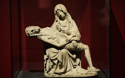 ​ MARIA MATER MISERICORDIAE