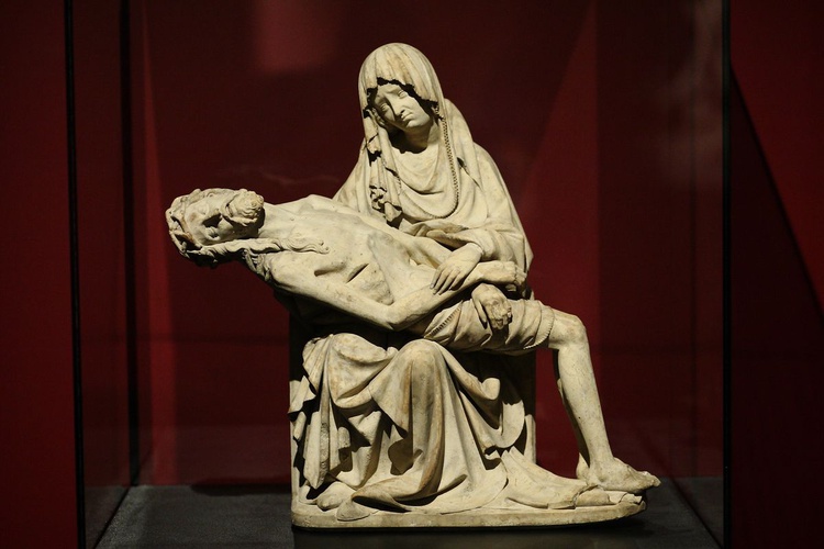 ​ MARIA MATER MISERICORDIAE