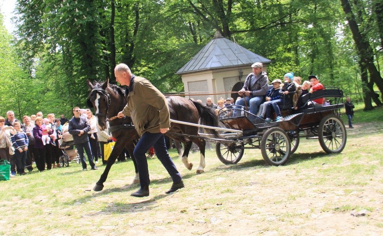 Pielgrzymka miłośników koni