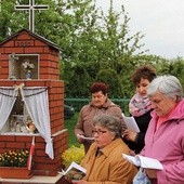 	W wielu miejscach w diecezji w tym pięknym miesiącu rozbrzmiewa Litania Loretańska  na świeżym powietrzu.