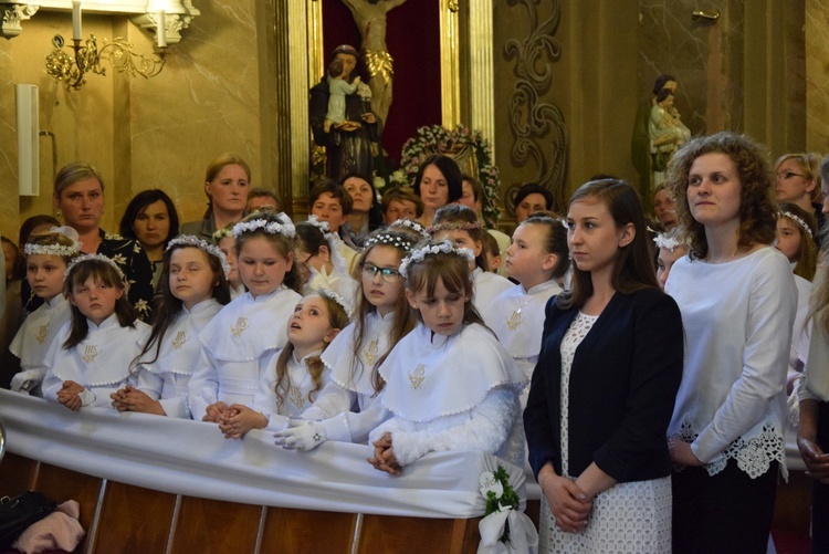 Powitanie ikony MB Częstochowskiej w Górze św. Małgorzaty