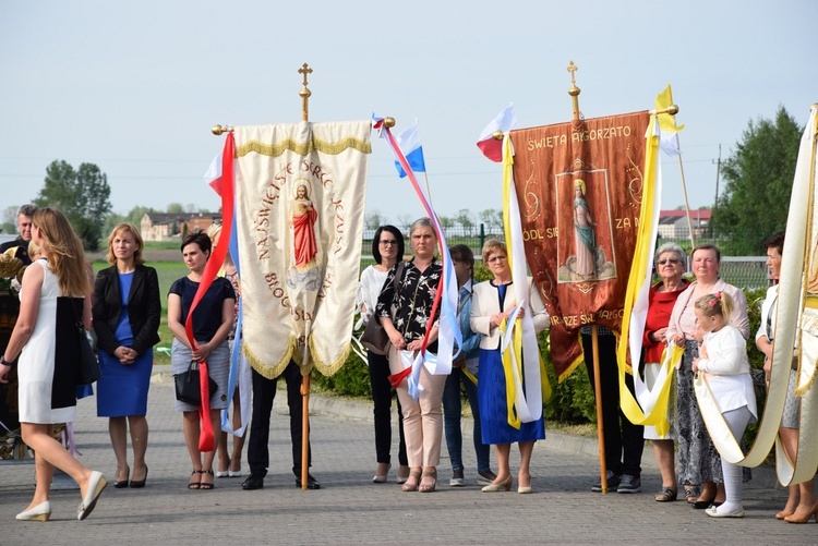 Powitanie ikony MB Częstochowskiej w Górze św. Małgorzaty