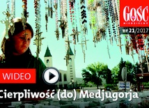 Zwiastun najnowszego "Gościa"