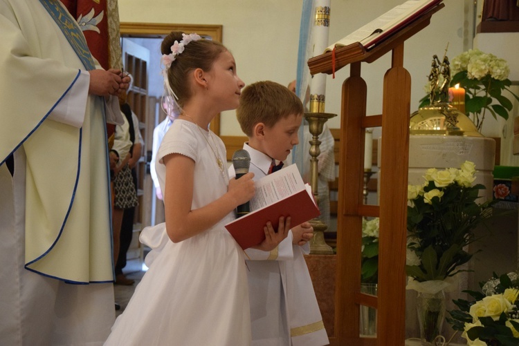 Powitanie ikony MB Częstochowskiej w Mąkolicach