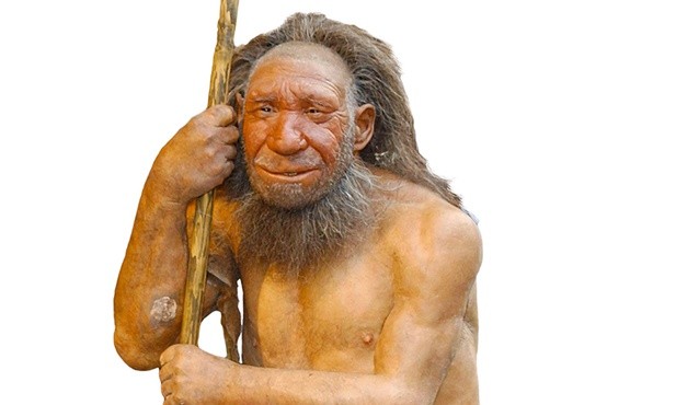 Rekonstrukcja wyglądu neandertalczyka z Neanderthals Museum w Mettmann (Niemcy).