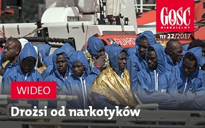 Zwiastun najnowszego "Gościa"