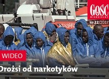 Zwiastun najnowszego "Gościa"