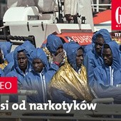 Zwiastun najnowszego "Gościa"