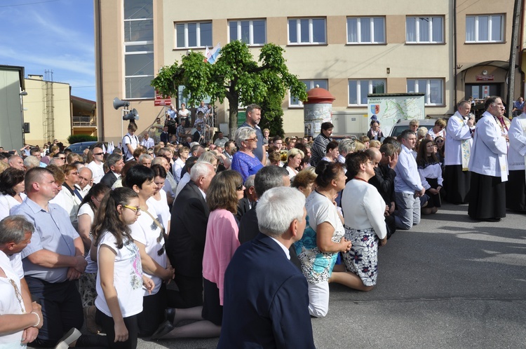 Powitanie ikony MB Częstochowskiej w Dmosinie